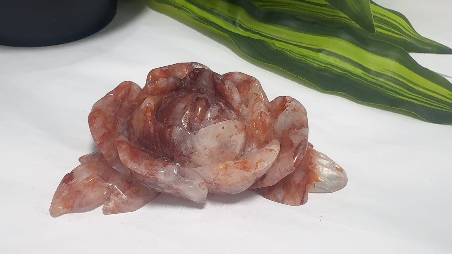 Fire Quartz Rose 284g