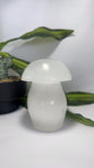 Selenite Mushroom with Light Base 1.7kg