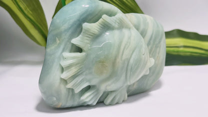 Amazonite Fish Carving 506g