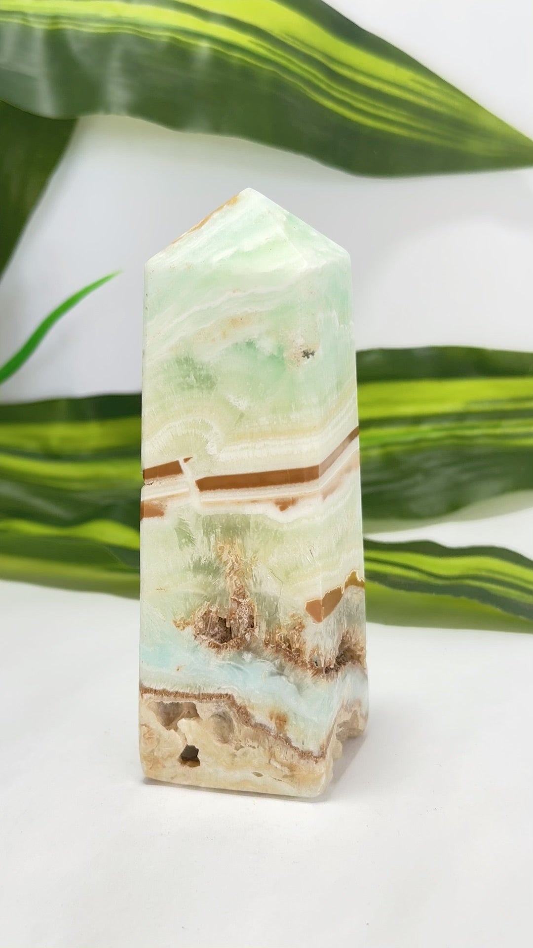 Caribbean Calcite Tower 312g