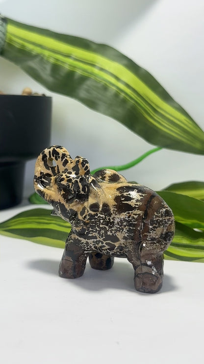 Picture Jasper Elephant 176g