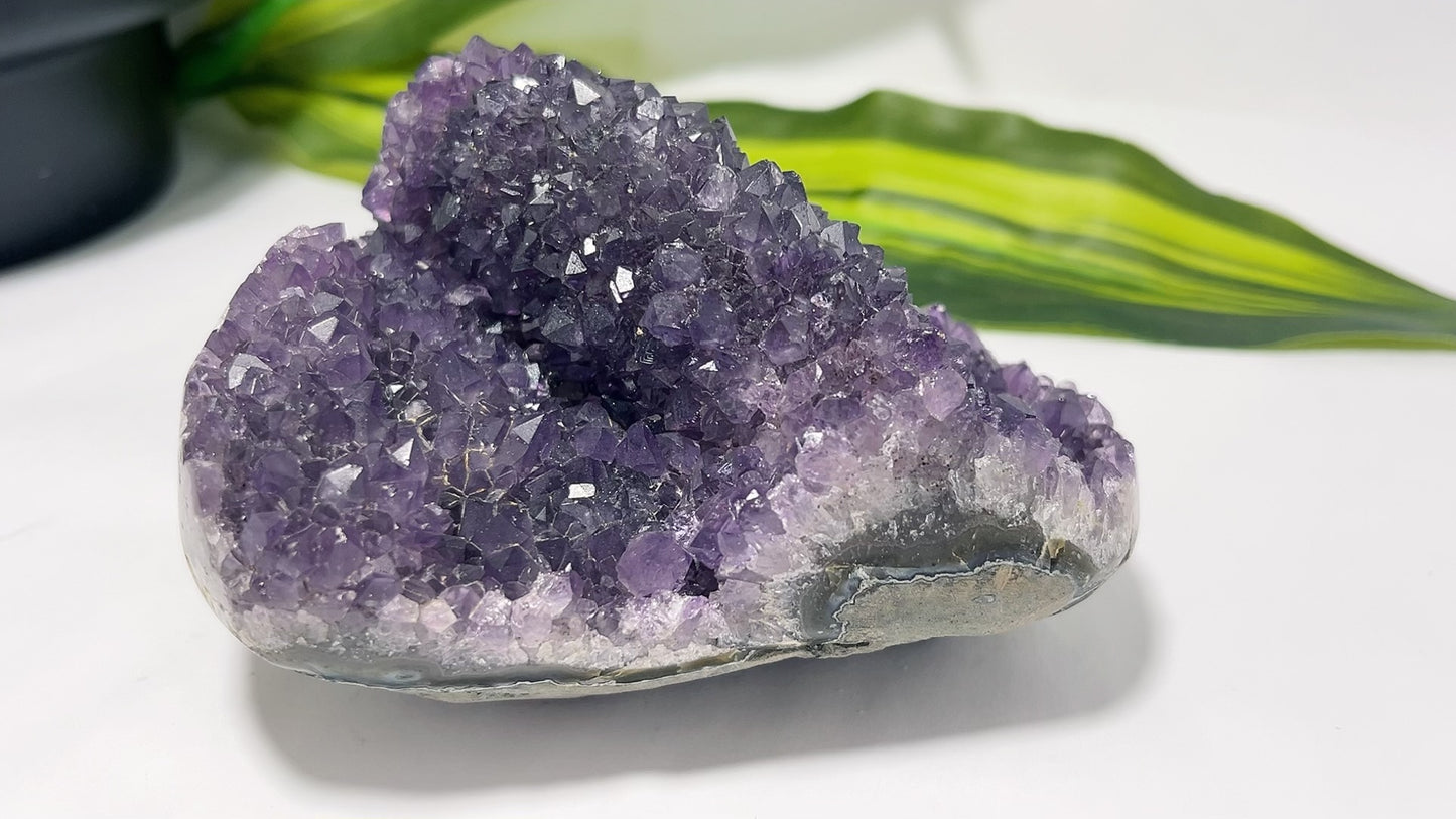 Amethyst Cluster Freeform 496g