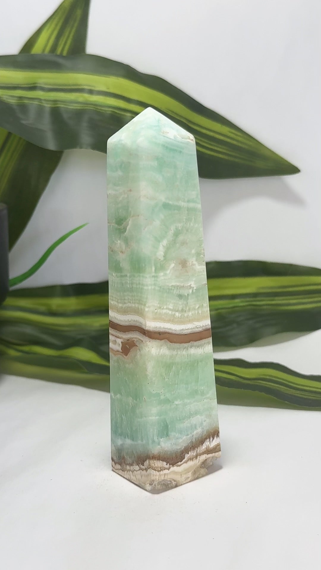 Caribbean Calcite Tower 308g