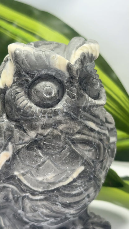 Thousand Eye Jasper Owl 1076g