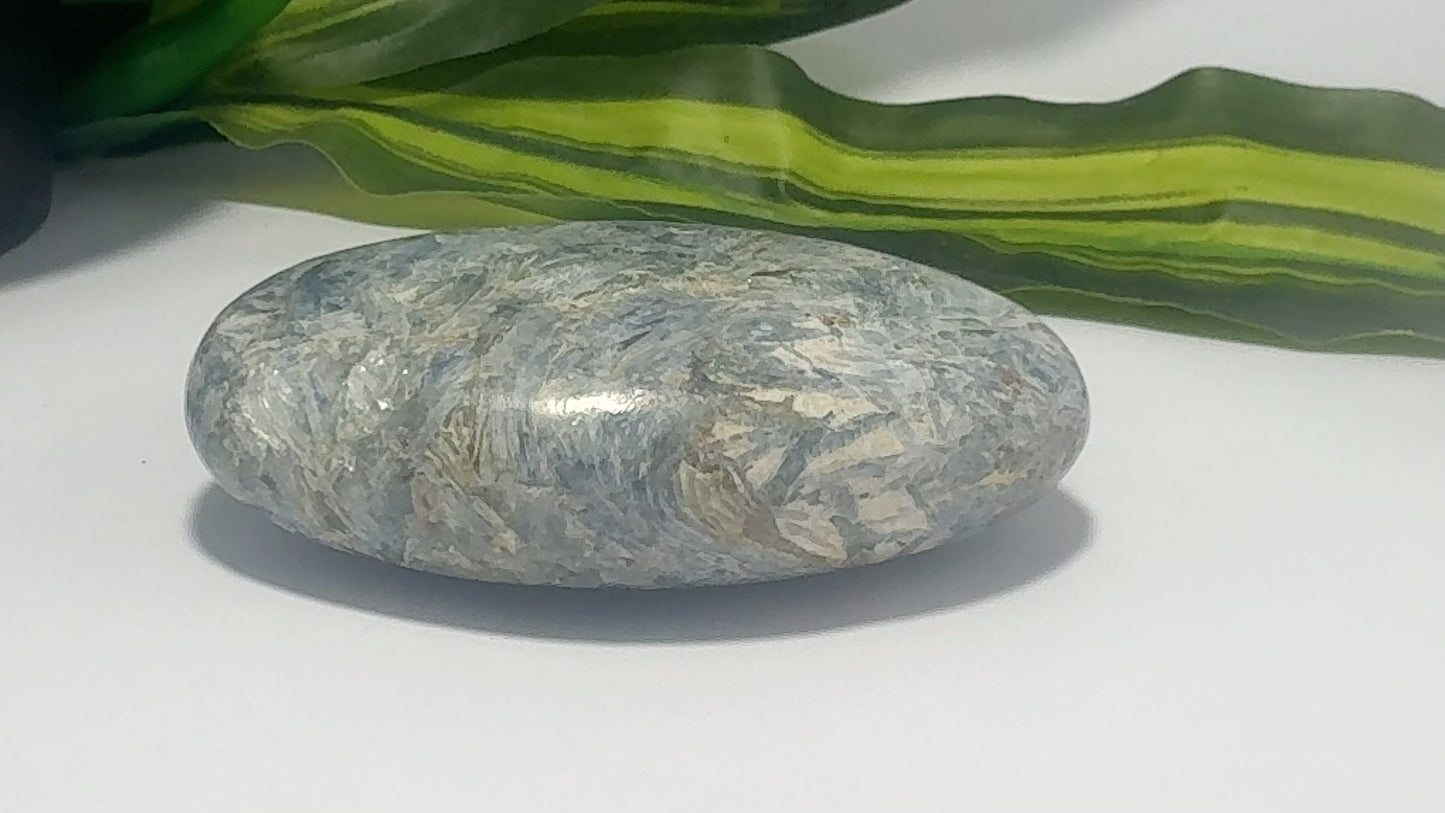 Kyanite Palm Stone 230g