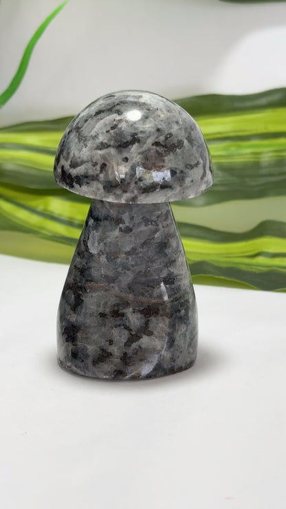 Larvikite Mushroom 212g