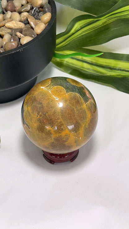 Ocean Jasper Sphere 550g