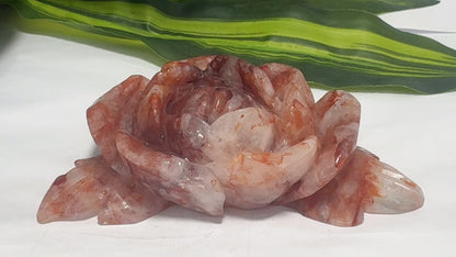 Fire Quartz Rose 284g