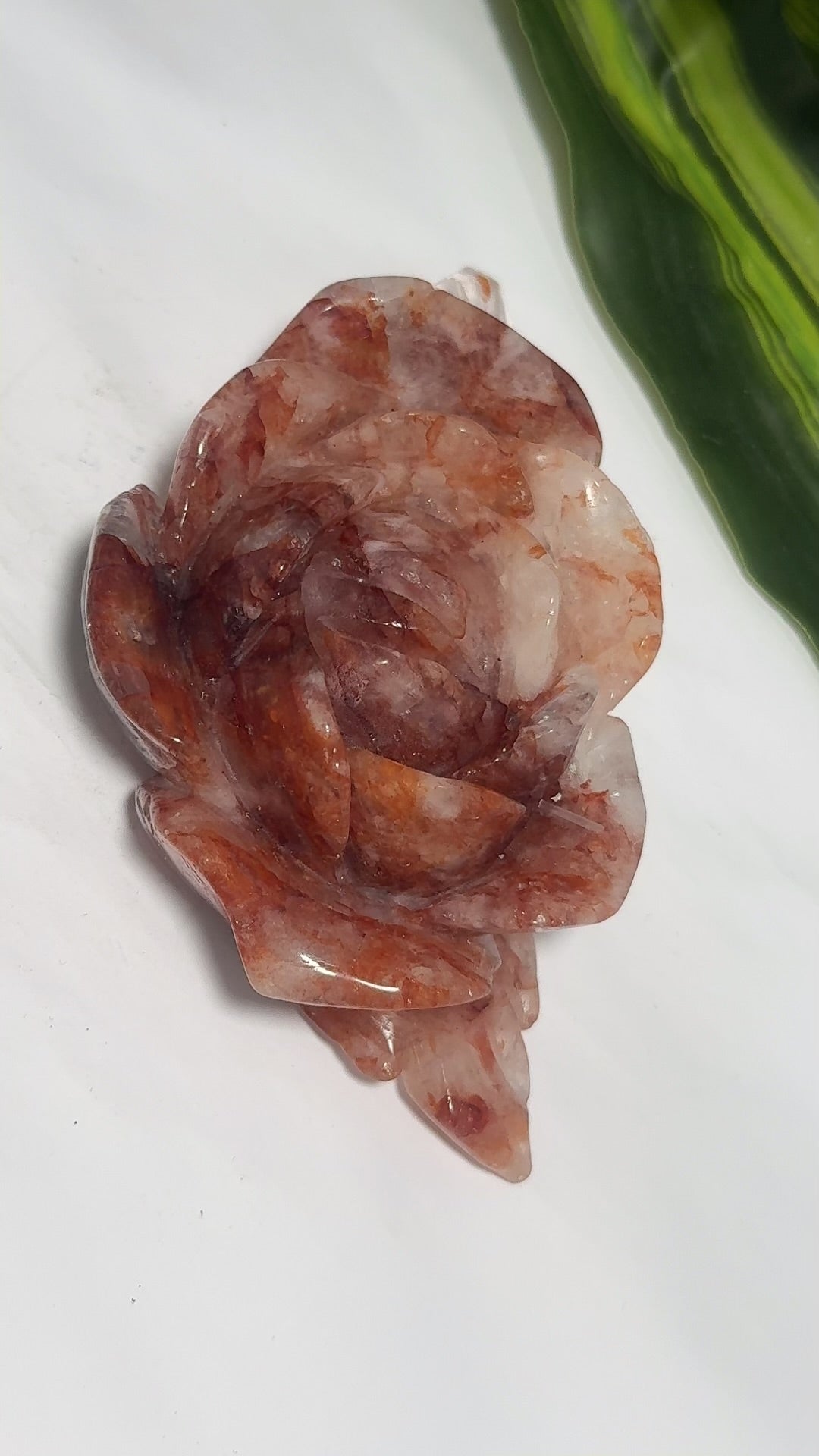 Fire Quartz Rose 284g