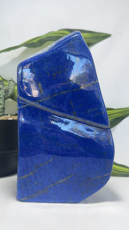 Lapis Lazuli Freeform 2.4kgs