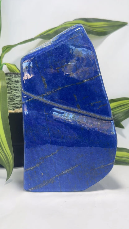 Lapis Lazuli Freeform 2.4kgs