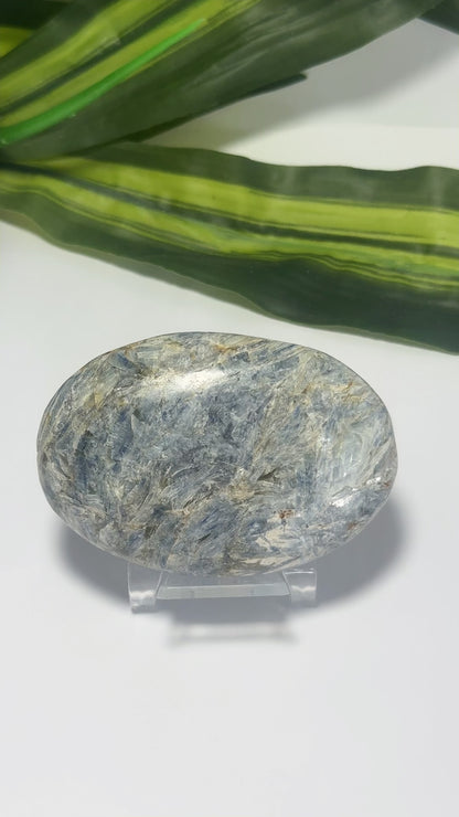 Kyanite Palm Stone 230g