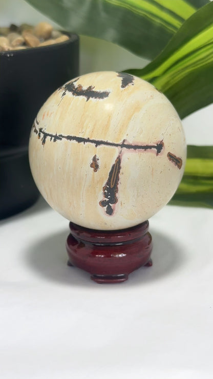 Picture Jasper Sphere 466g