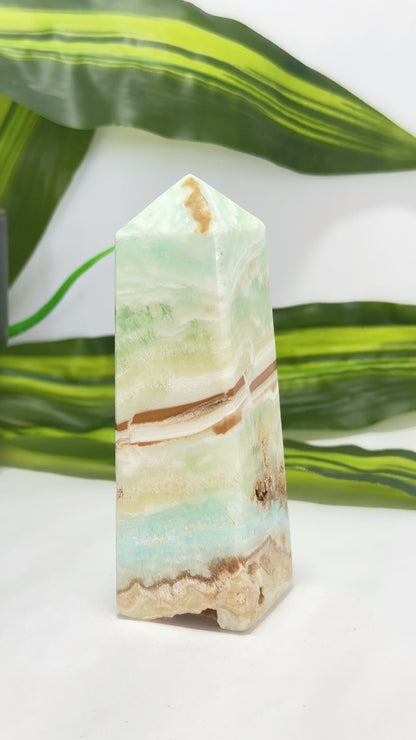 Caribbean Calcite Tower 312g