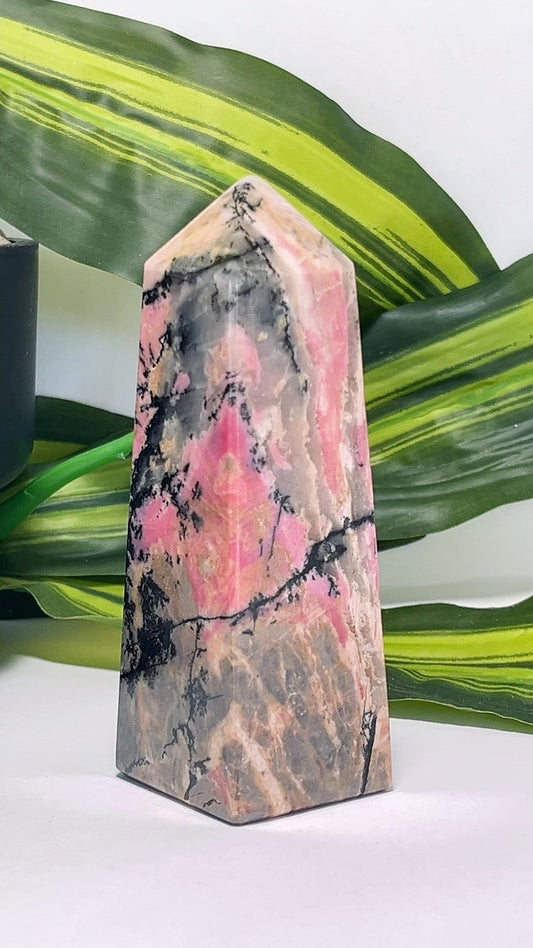 Rhodonite Tower 356g