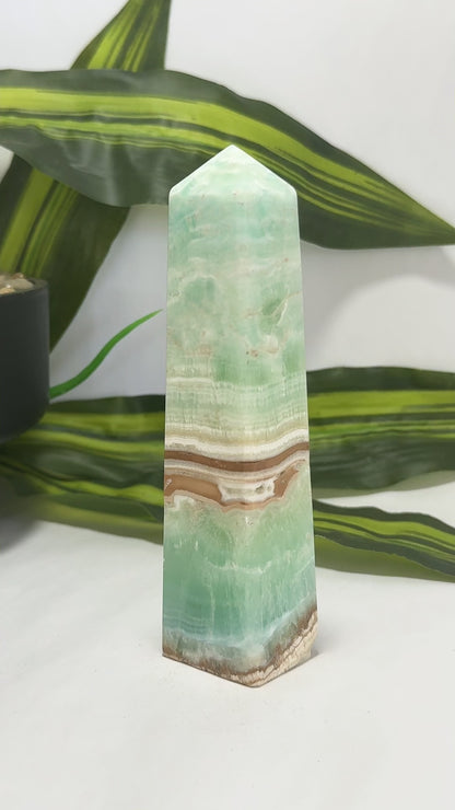 Caribbean Calcite Tower 308g