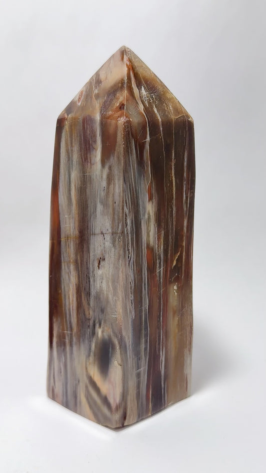 Petrified Wood Tower 1074g