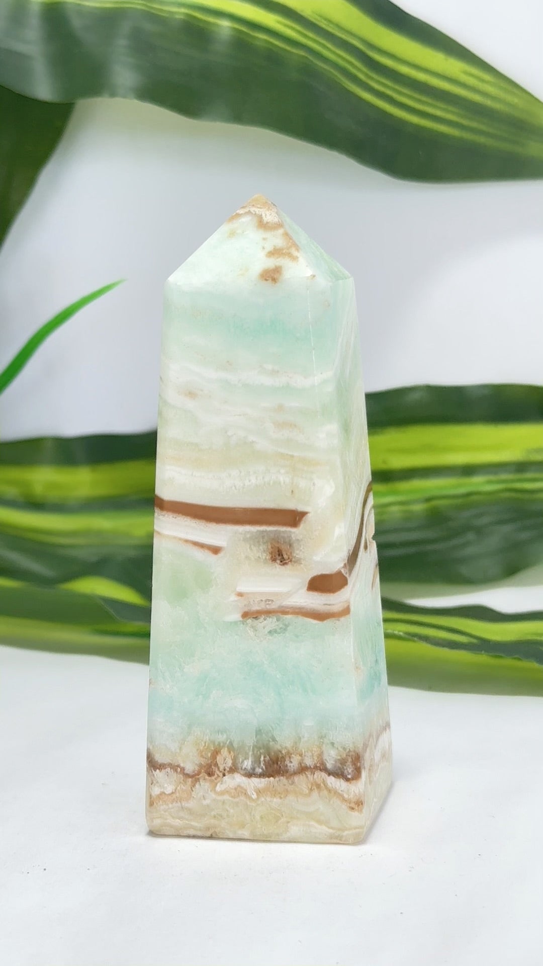 Caribbean Calcite Tower 281g