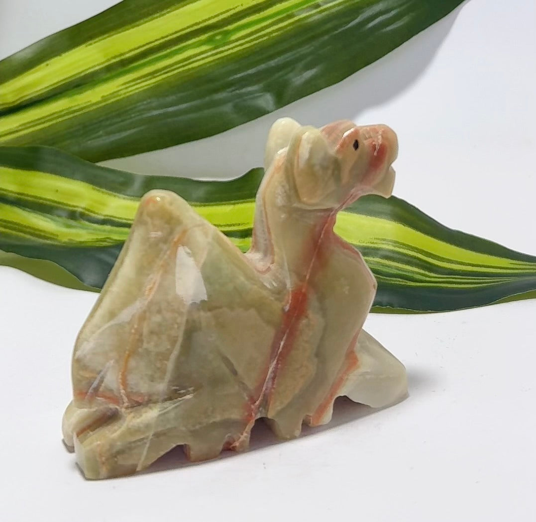 Green Banded Calcite Camel 194g