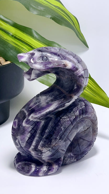 Chevron Amethyst Cobra 796g