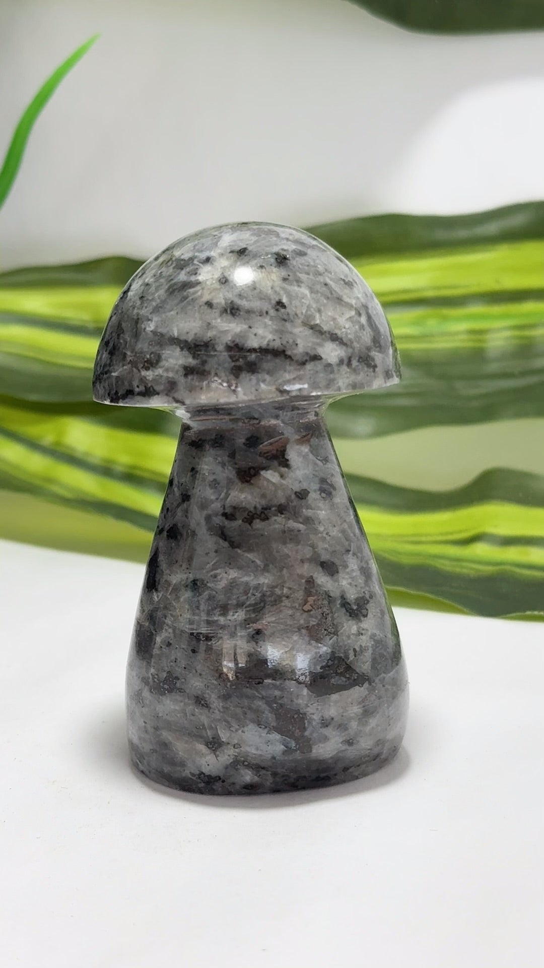 Larvikite Mushroom 212g