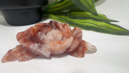 Fire Quartz Rose 284g