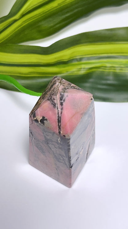 Rhodonite Tower 324g