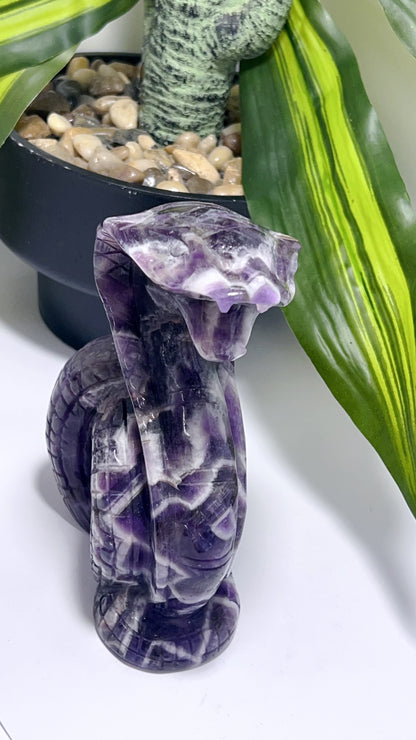 Chevron Amethyst Cobra 796g