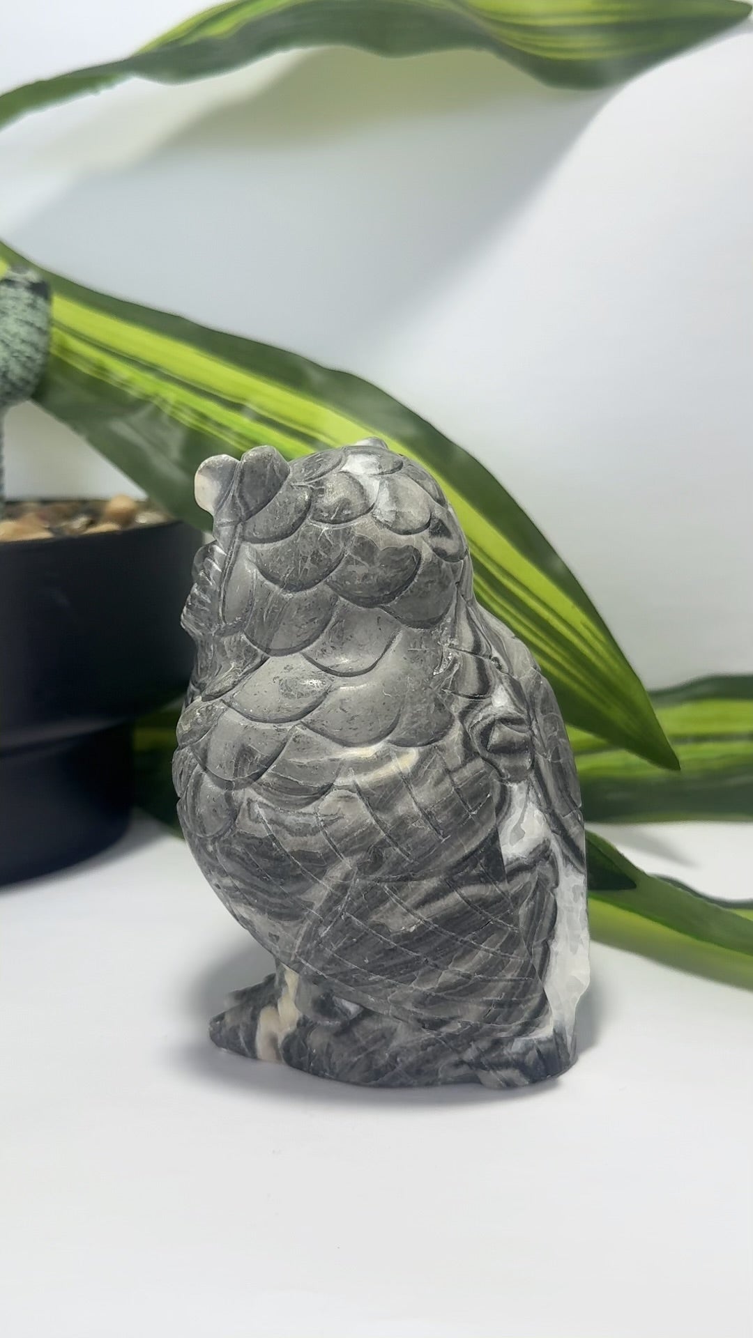 Thousand Eye Jasper Owl 1076g