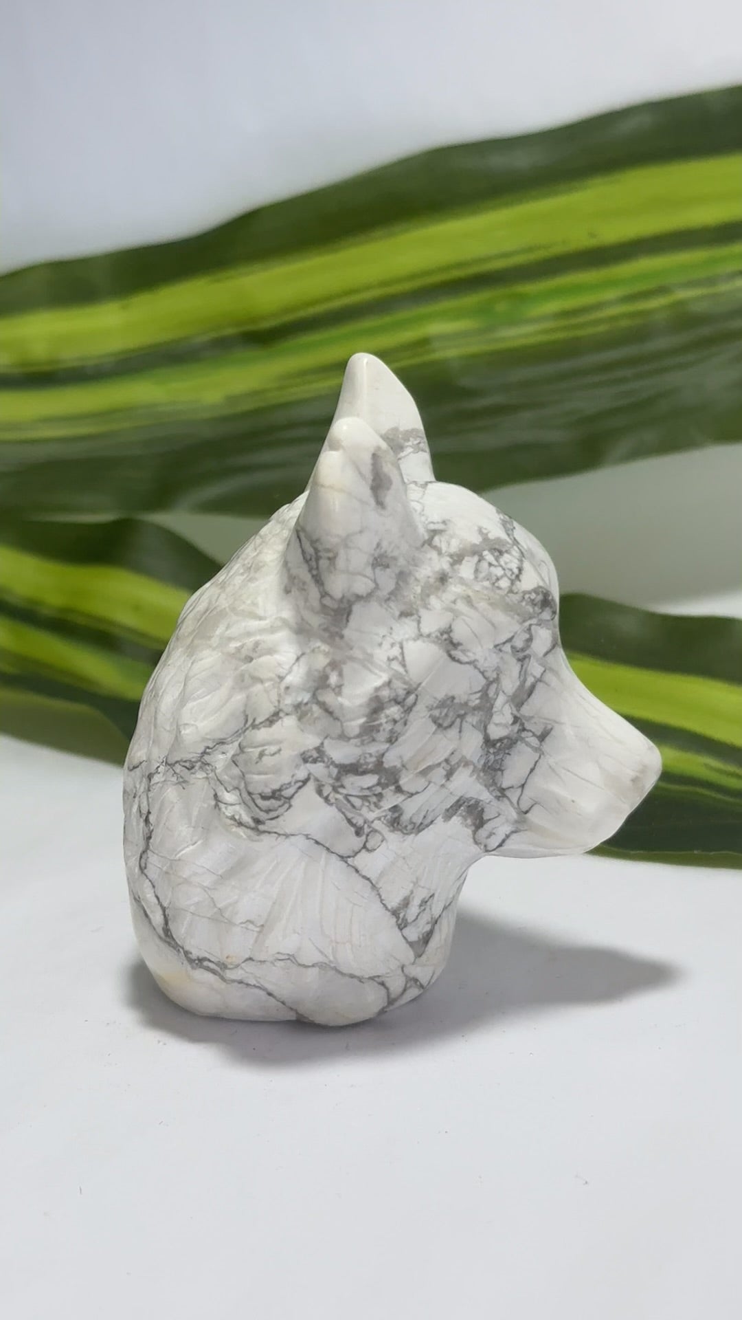 Howlite Wolfs Head 208g