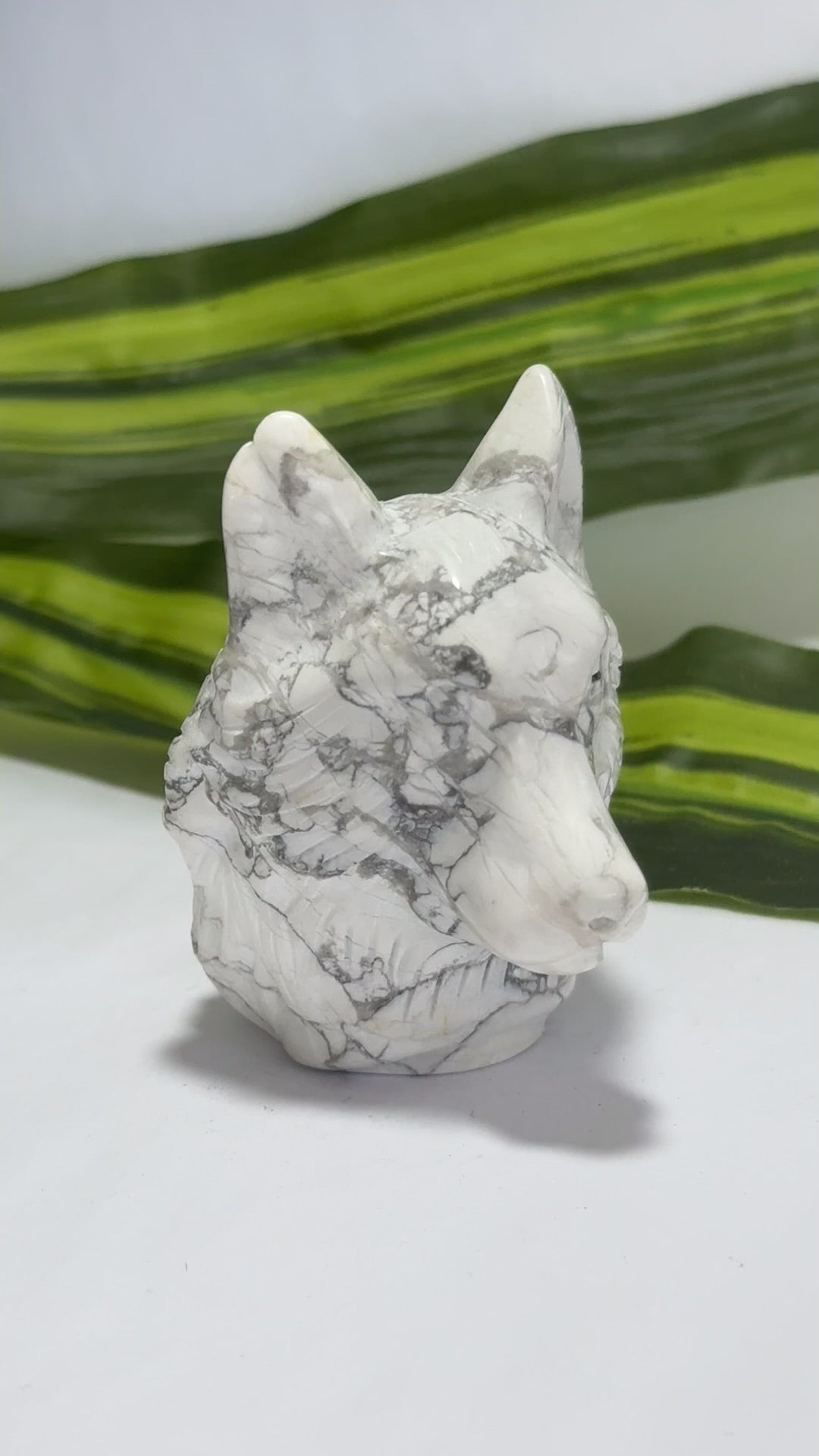 Howlite Wolfs Head 208g