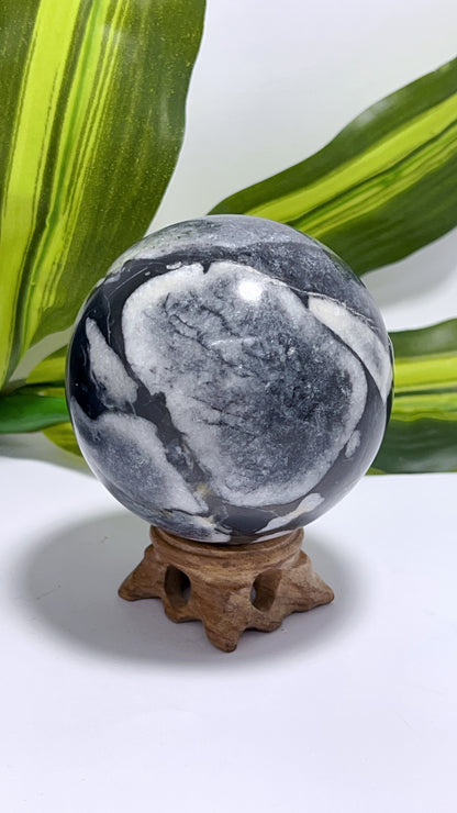 Shell Jasper Sphere 714g