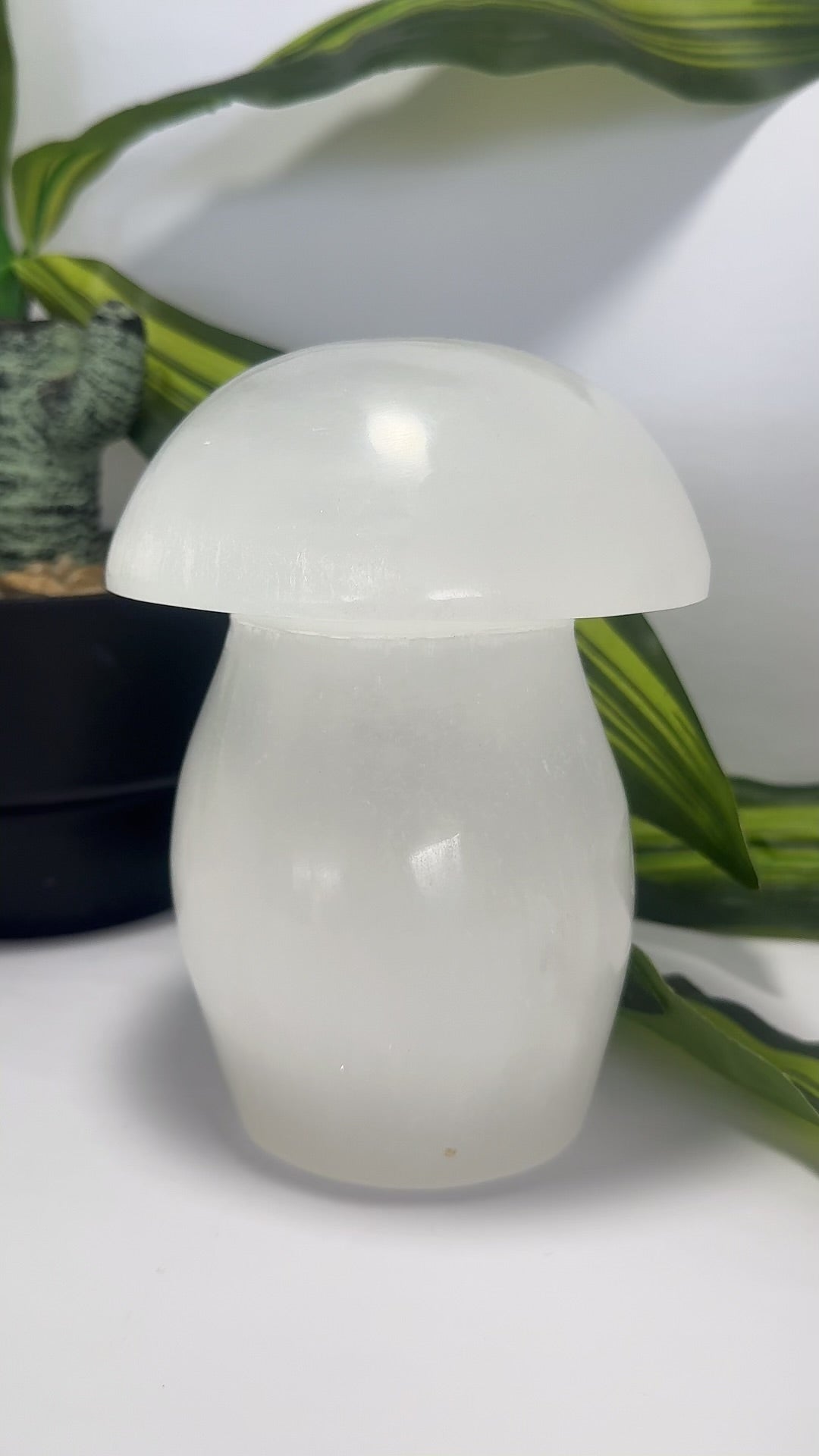 Selenite Mushroom with Light Base 1.7kg