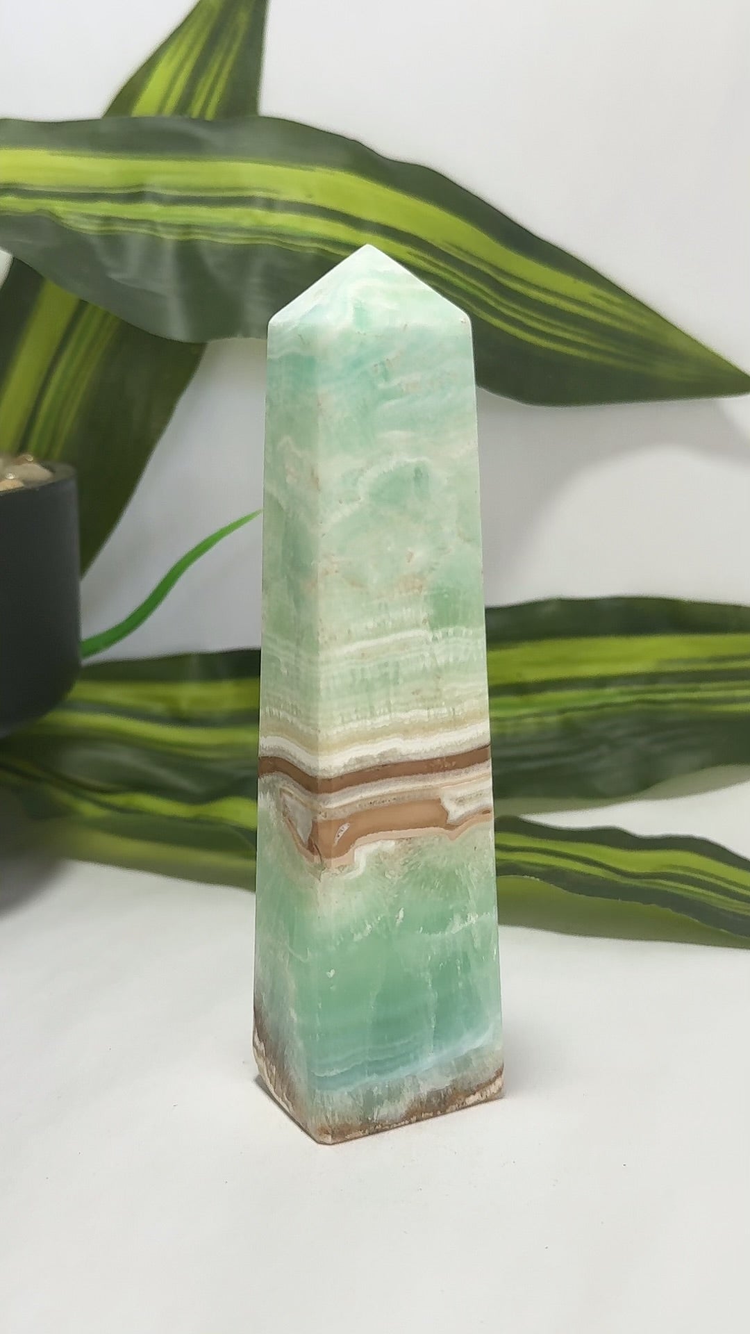 Caribbean Calcite Tower 308g