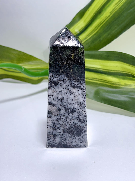 Diopside Point 170G