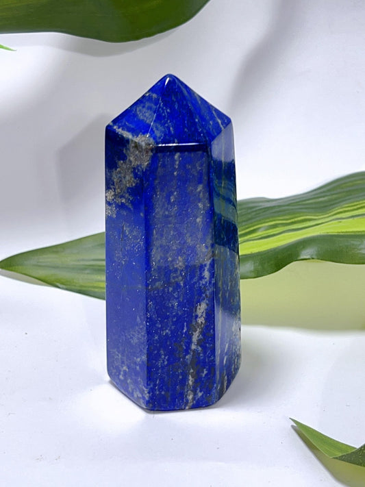 Lapis Lazuli Pt 262G