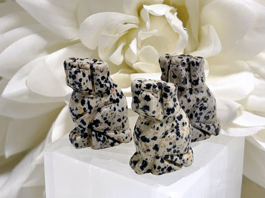 Dalmatian Jasper Dog 35g