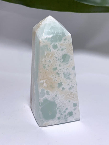 Aqua Caribbean Calcite Pt 209G