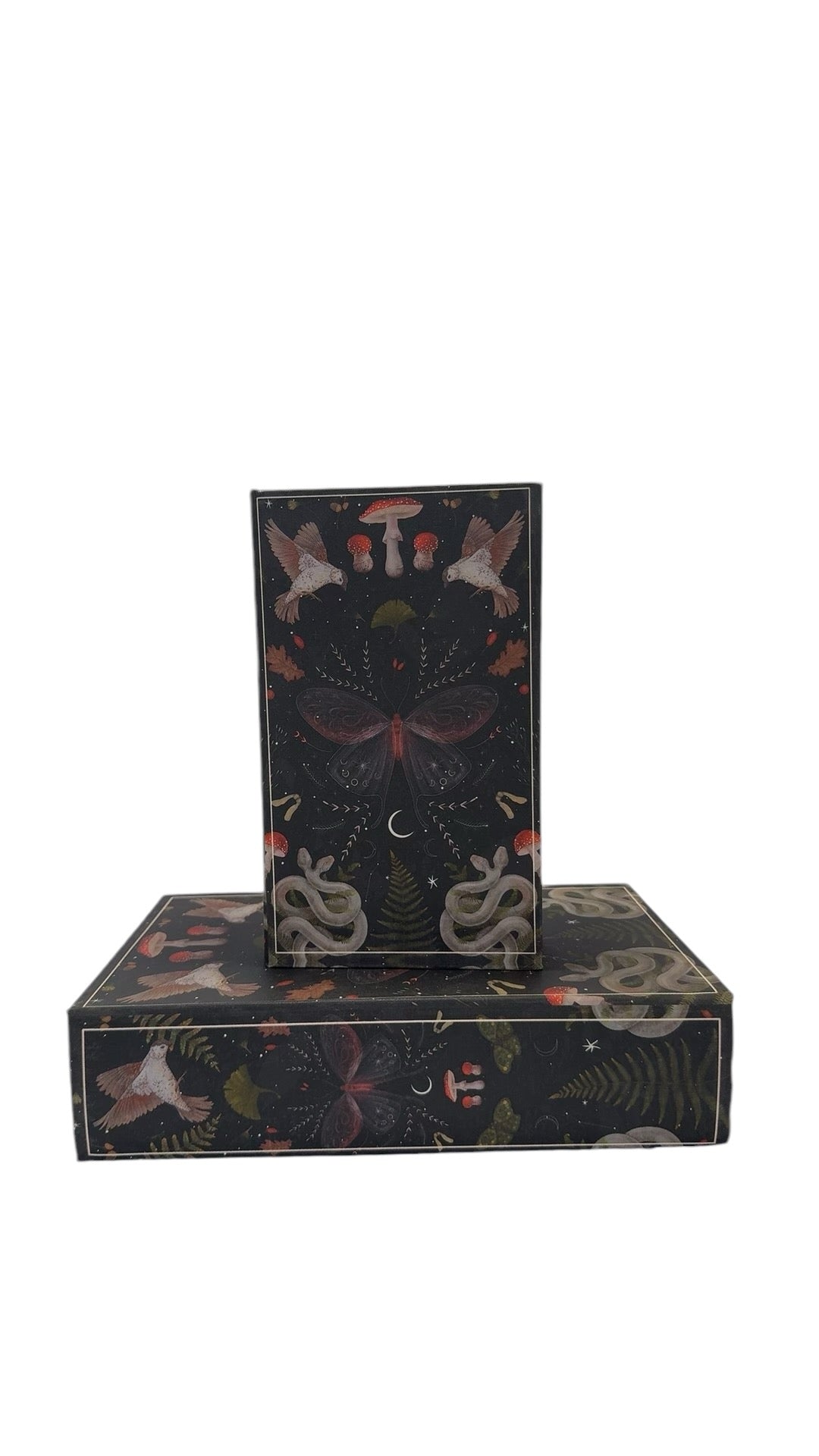 Mushroom Moth Box Set 2 pce