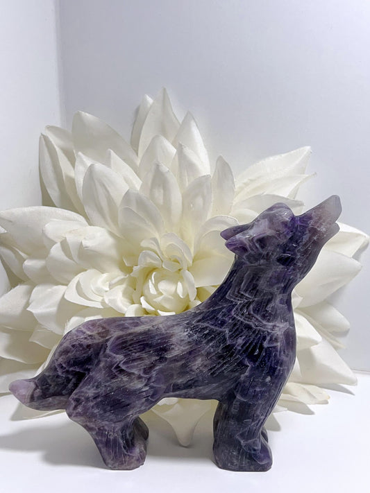 Chevron Amethyst Wolf 821g