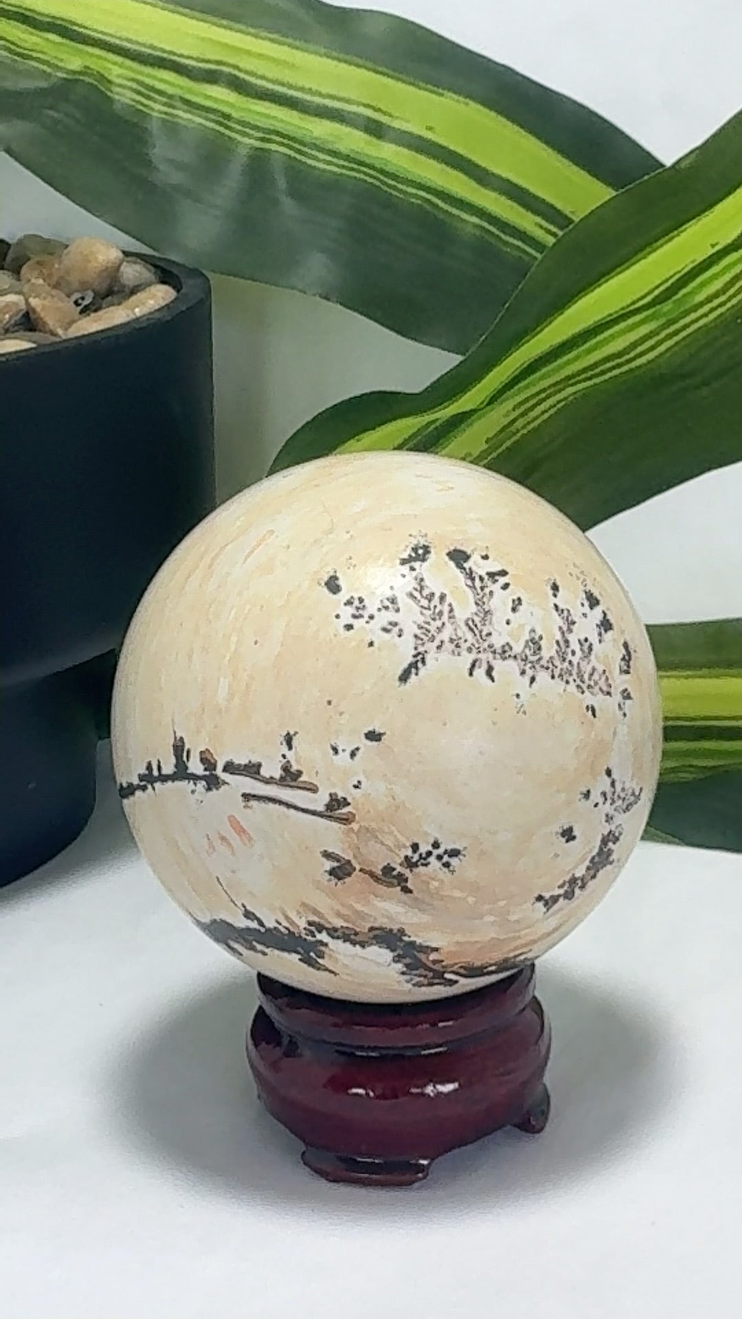 Picture Jasper Sphere 466g