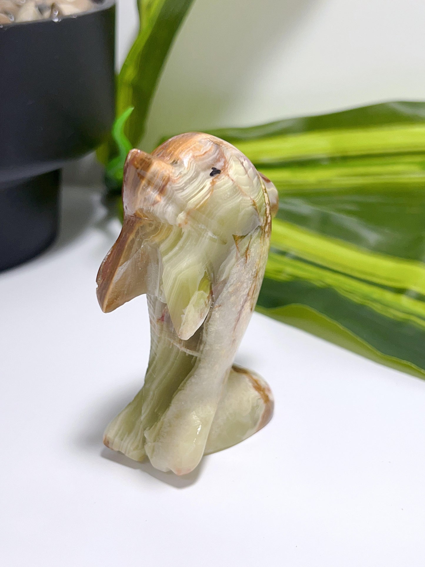 Green Banded Calcite Dolphin 174g