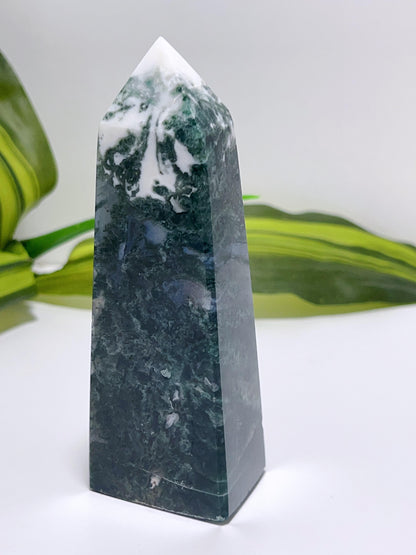 Moss Agate Point 244G