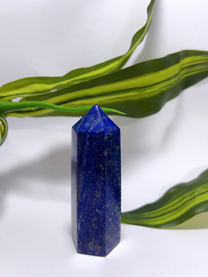 Lapis Lazuli Tower 278G