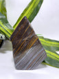 Tiger Iron with Tiger Eye Freeform 1092G