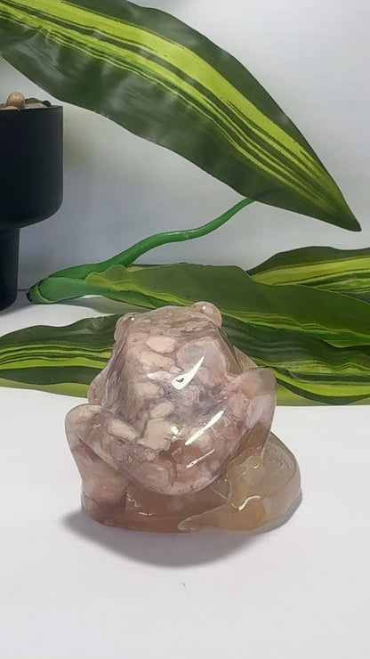 Flower Agate Frog 228g