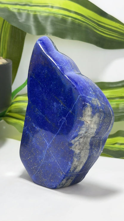 Lapis Lazuli Freeform 644g