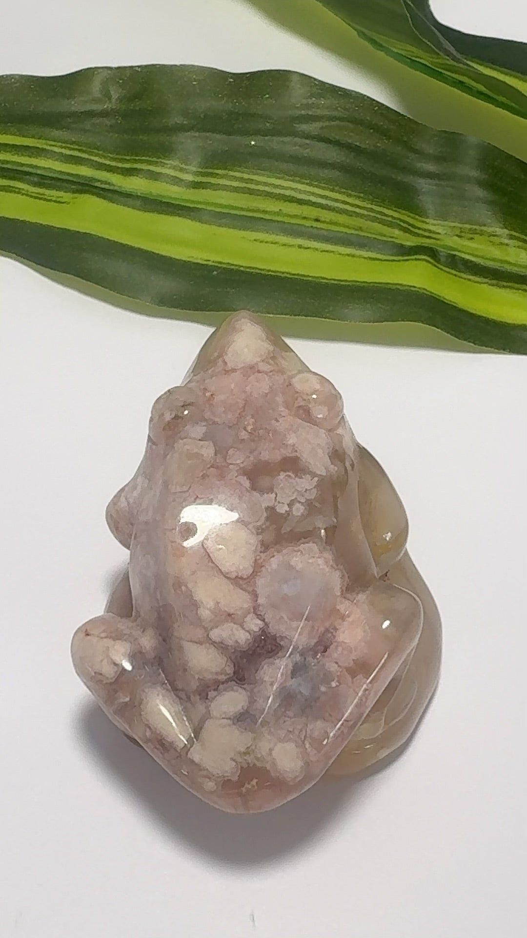 Flower Agate Frog 228g