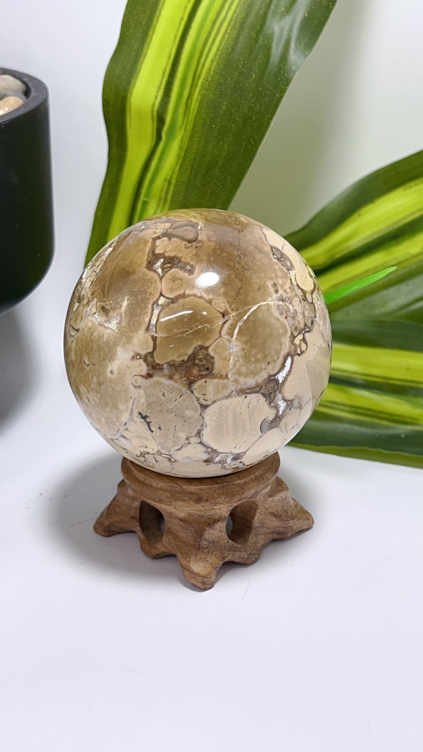 Spotted Agate Sphere 368g