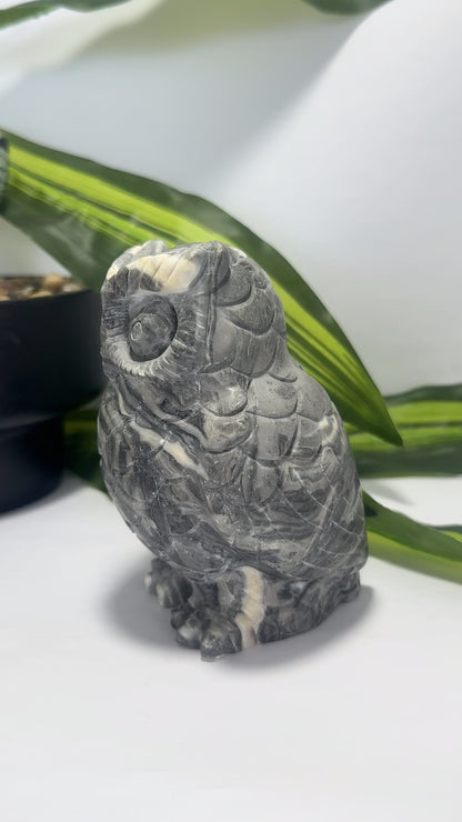 Thousand Eye Jasper Owl 1076g